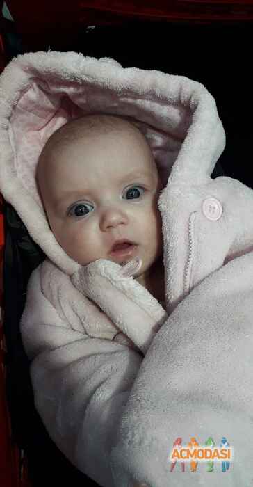 Віка  Шмигленко фото №1493918. Завантажено 06 Січня 2020