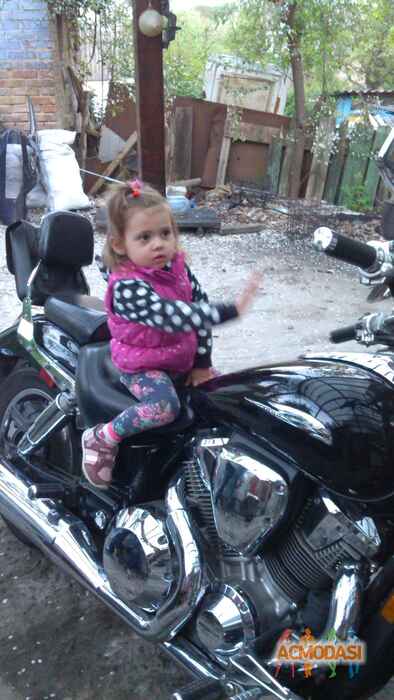 Диана   фото №1039813. Завантажено 05 Квітня 2017