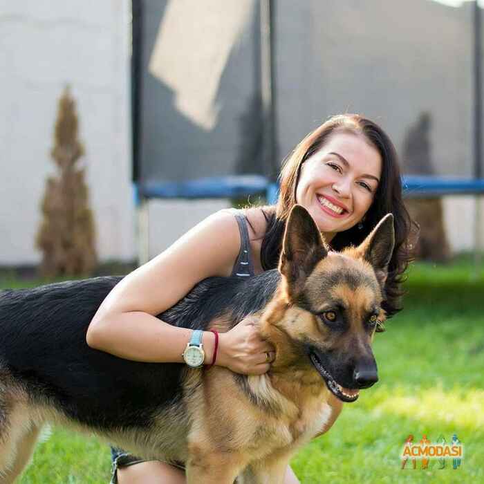    фото №1169157. Завантажено 20 Січня 2018