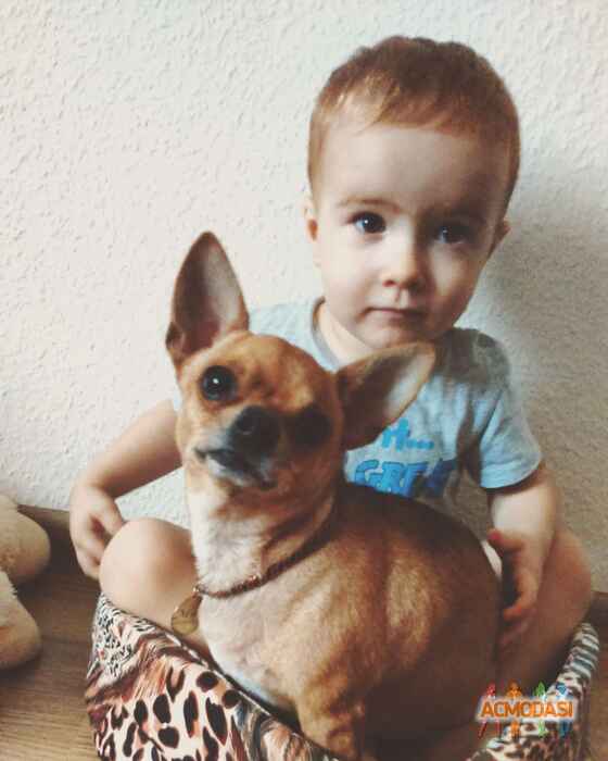 Ричарда  Дик фото №1148610. Завантажено 05 Грудня 2017