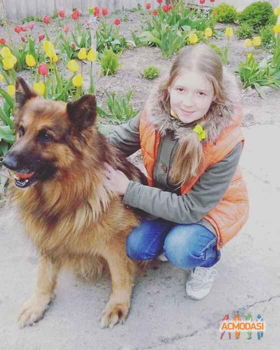 Ника  Хомич фото №1048033. Завантажено 27 Квітня 2017