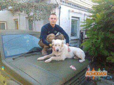 Ян Вікторович Мельников фото №1140526. Завантажено 21 Листопада 2017