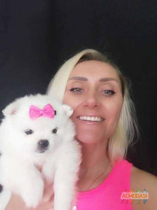 Ольга  Щербакова фото №1680928. Завантажено 02 Лютого 2022