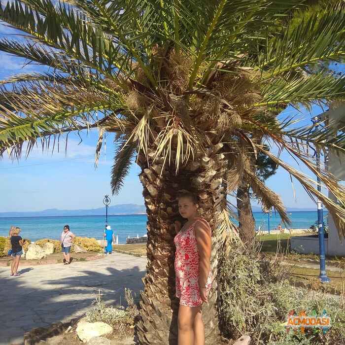 Анна Сергіївна Міняйло фото №1482344. Завантажено 30 Листопада 2019