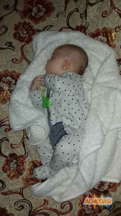 Максим Сергійович Штойко фото №1180661. Завантажено 06 Лютого 2018