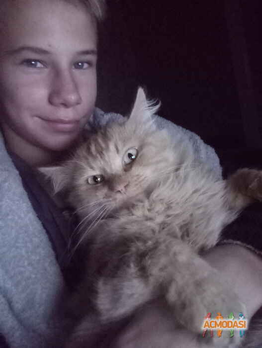 Назар Сергеевич Владимиров фото №1131015. Завантажено 05 Листопада 2017