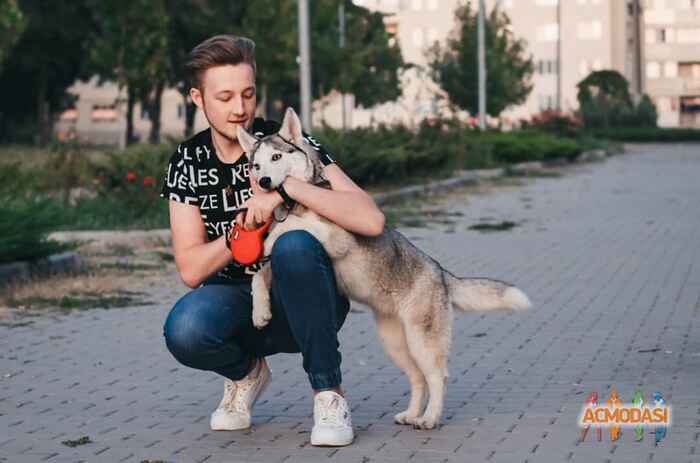 Олександр Юрійович Татарка фото №1491780. Завантажено 28 Грудня 2019