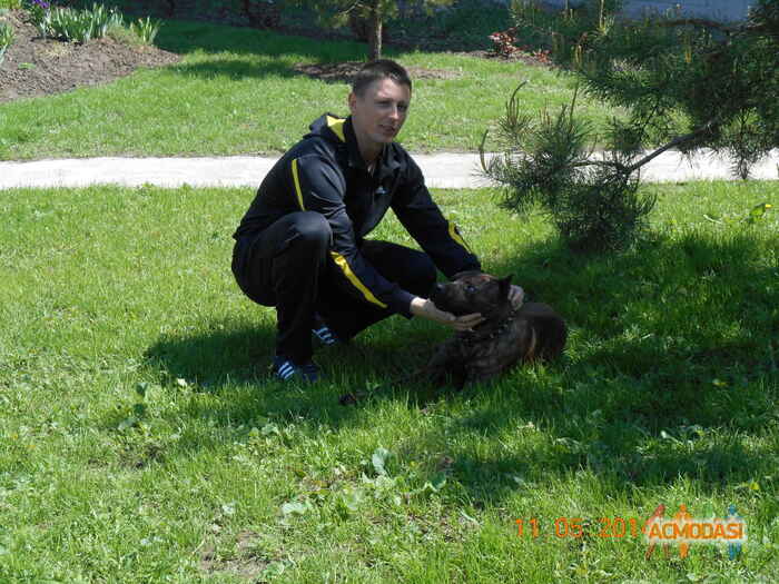 Павло Васильович Дубовик фото №1186137. Завантажено 14 Лютого 2018