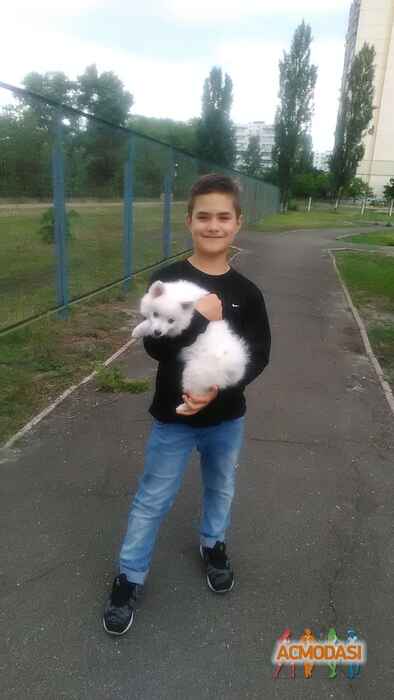 Арсений Сергеевич Лобатюк фото №1242194. Завантажено 08 Червня 2018