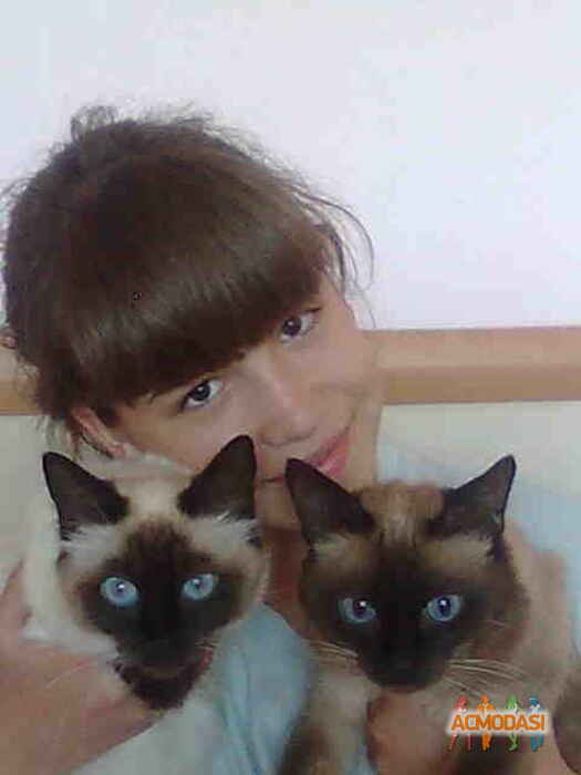 Анастасия Алексеевна Стрекозова фото №98767. Завантажено 03 Листопада 2011