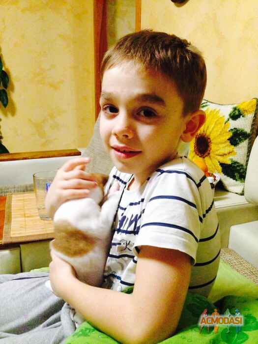 Людмила Володимирівна Чепурна фото №998639. Завантажено 17 Грудня 2016