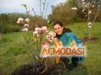 Юлия васильевна роенко фото №1061132. Завантажено 01 Червня 2017