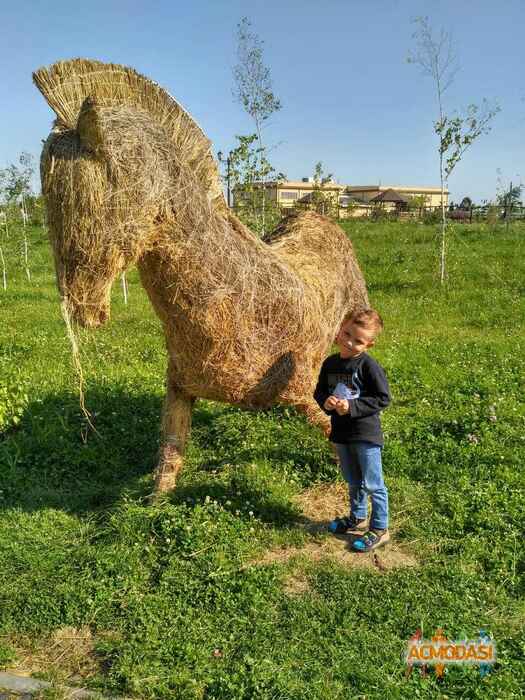 Валентинка  Мыкула фото №1103514. Завантажено 13 Вересня 2017