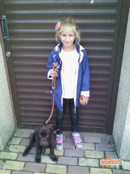 Влада   фото №964358. Завантажено 29 Вересня 2016