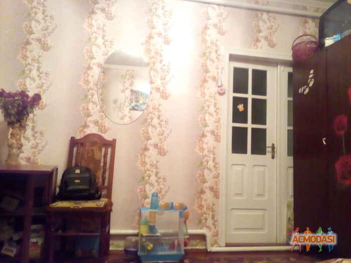 Света Михайлівна Коновалюк фото №1135942. Завантажено 13 Листопада 2017