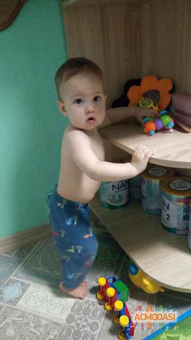 Елена  Гринчак фото №1480666. Завантажено 27 Листопада 2019