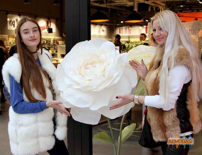 Аля Юревна Дикун фото №1113164. Завантажено 05 Жовтня 2017