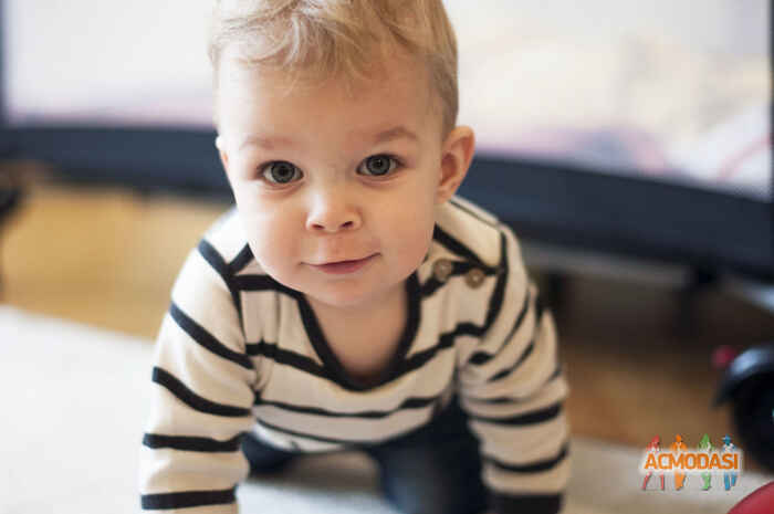 Тимофей Богданович Сушайло фото №1028138. Завантажено 04 Березня 2017