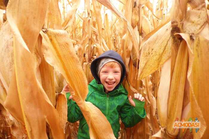 Жанна   фото №1487299. Завантажено 12 Грудня 2019