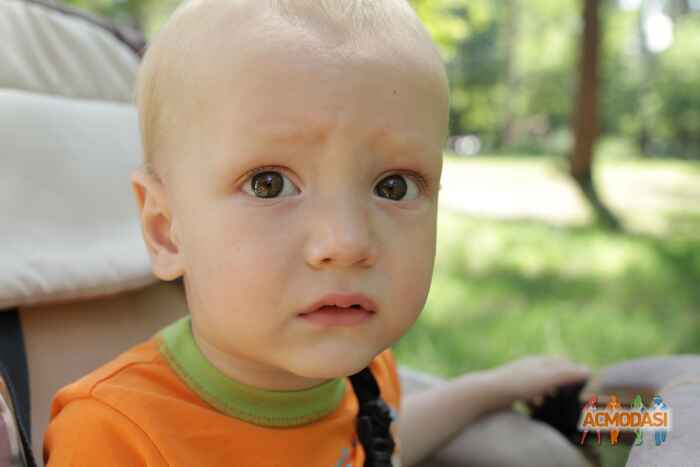 Андрiй Дмитрович Опанасюк фото №1010881. Завантажено 23 Січня 2017