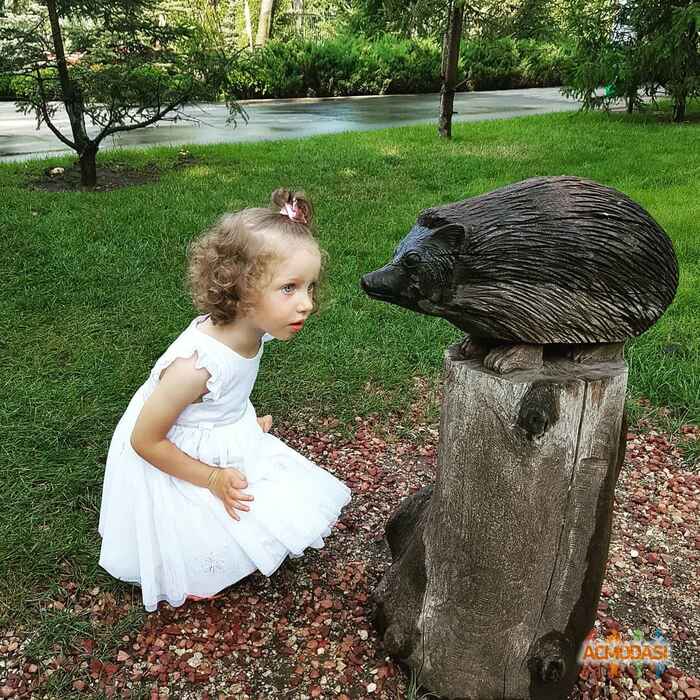 Николь Станиславовна Кулик фото №1475099. Завантажено 13 Листопада 2019