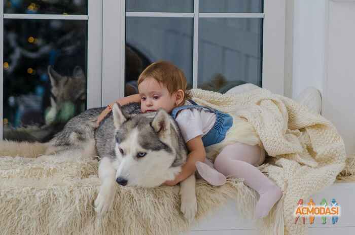 Анна Александровна Столярчук фото №1032001. Завантажено 15 Березня 2017