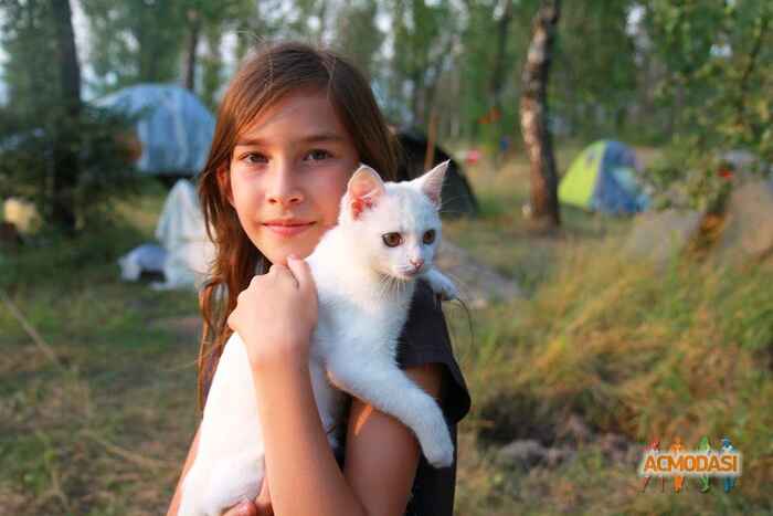 Katya  Shubina фото №1158490. Завантажено 01 Січня 2018