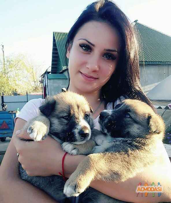 Цэйлер Юлия Вячеславовна фото №1124181. Завантажено 25 Жовтня 2017