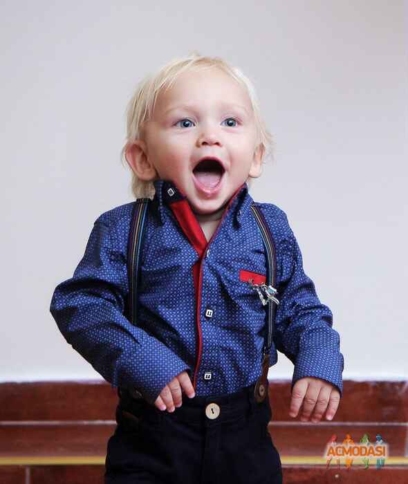 Володимир   фото №992534. Завантажено 02 Грудня 2016