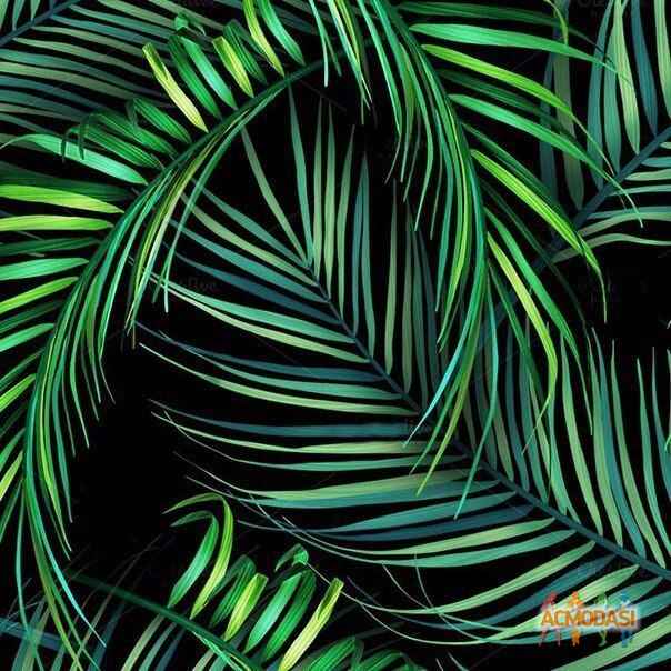 Яна   фото №1165408. Завантажено 15 Січня 2018