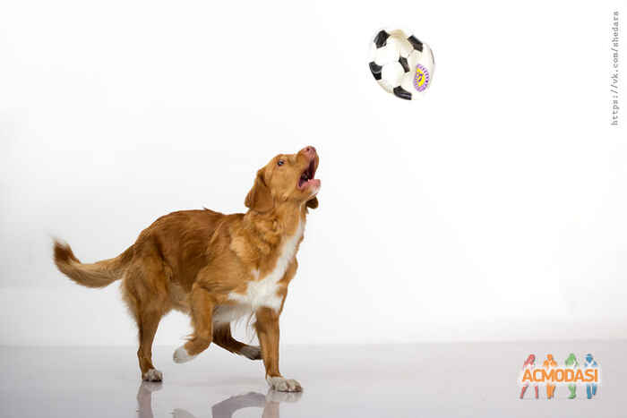 Татьяна Андреевна  фото №938369. Завантажено 30 Липня 2016