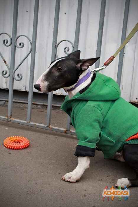 Юлия  Мечникова фото №1026201. Завантажено 27 Лютого 2017