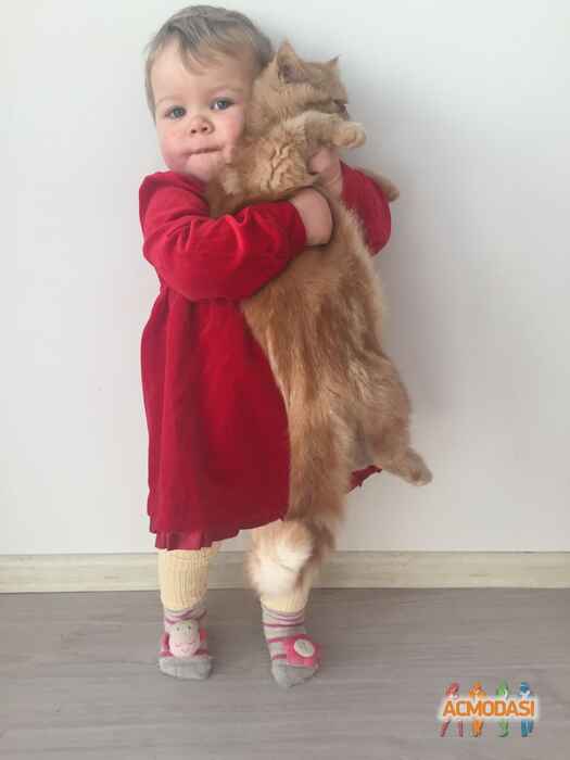 Юлия  Скульбачевская фото №1058559. Завантажено 25 Травня 2017