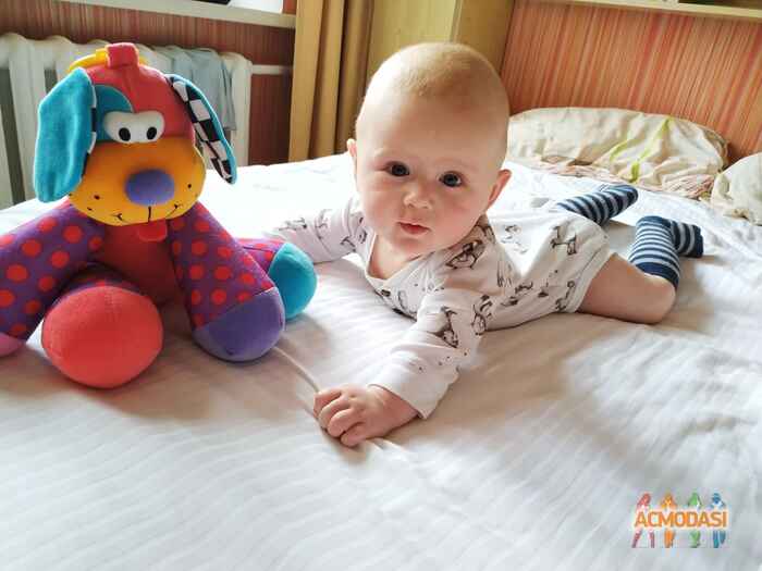 Дмитро Павлович Ліщина фото №1481723. Завантажено 29 Листопада 2019