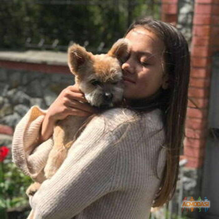 Пащенко  Віка фото №1683071. Завантажено 11 Лютого 2022
