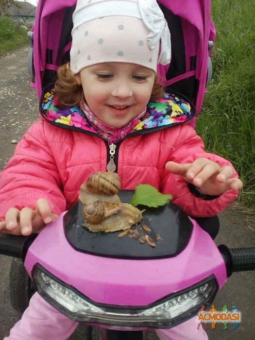 Софія Андріївна Савицька фото №1106210. Завантажено 19 Вересня 2017