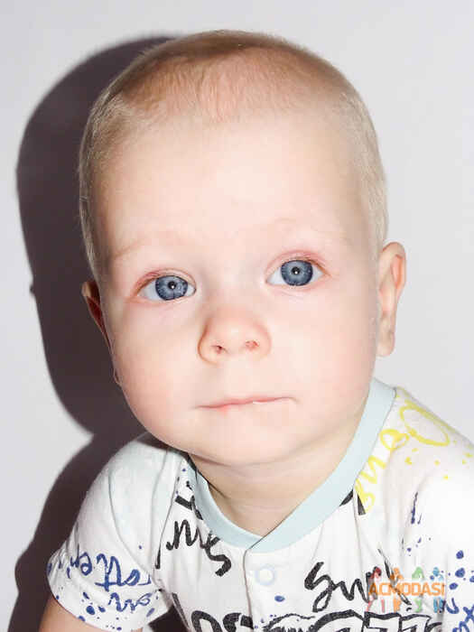 Демид Денисович Стынка фото №1604160. Завантажено 01 Лютого 2021