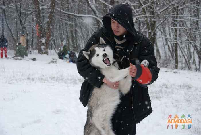 Іван Юрійович Гагарін фото №983287. Завантажено 11 Листопада 2016