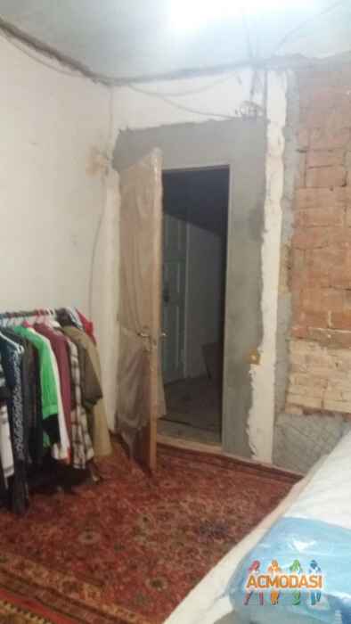 Анна Леонидовна Ермени фото №1124117. Завантажено 25 Жовтня 2017