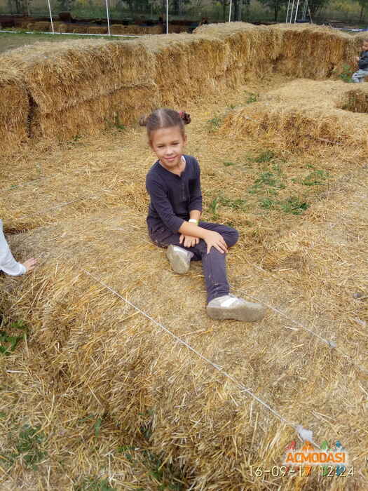 Ірина  Денисюк фото №1156067. Завантажено 24 Грудня 2017