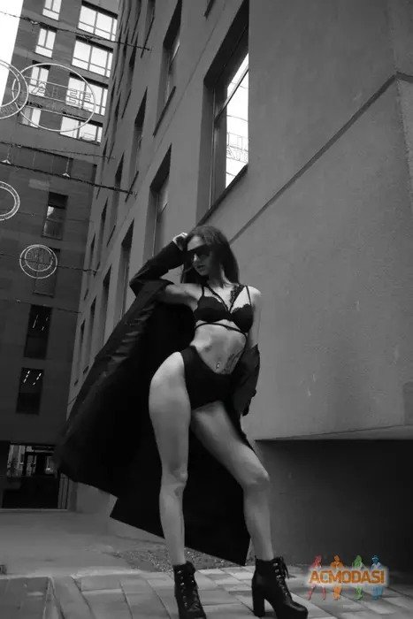 Елена  Логвиненко фото №1749654. Завантажено 18 Листопада 2025