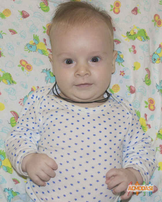 Лилия Александровна Рыбак фото №1016912. Завантажено 06 Лютого 2017