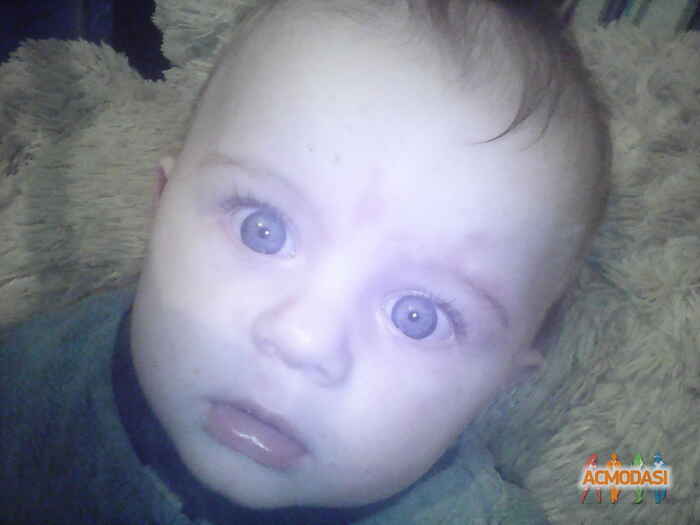 святослав викторович святненко фото №1124153. Завантажено 25 Жовтня 2017