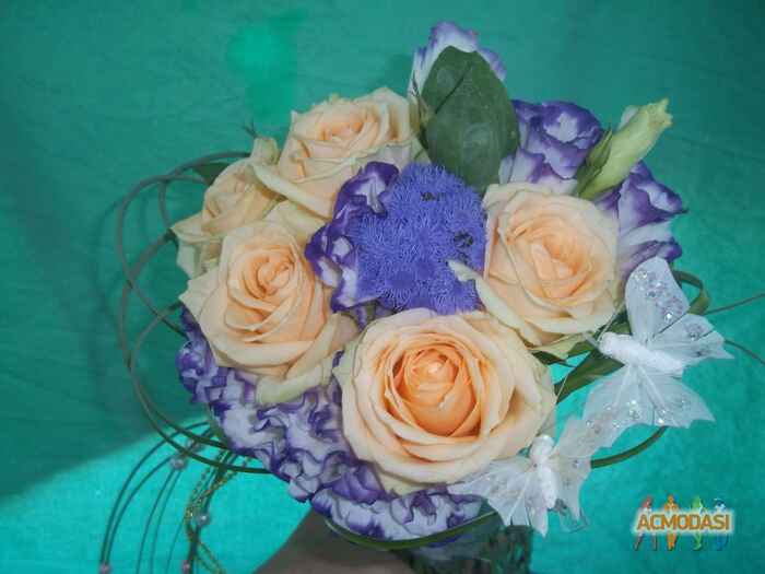 Алена  Черток-Перепелица фото №829828. Завантажено 10 Вересня 2015