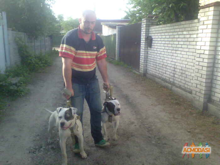 Борис Александрович Рылов фото №422507. Завантажено 04 Червня 2013