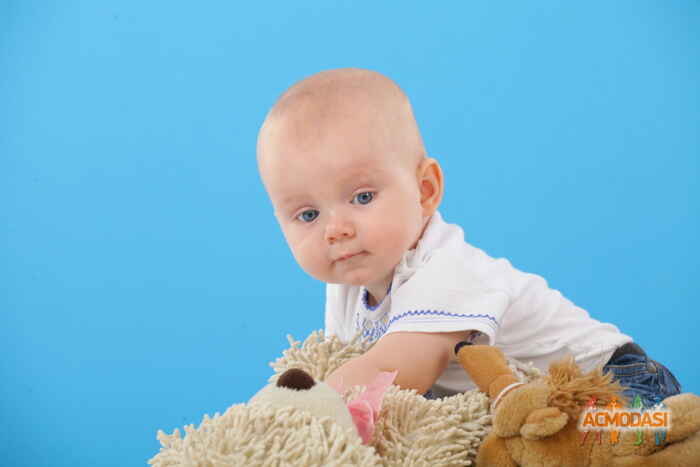 Мирослав Янович Пасуль фото №1151856. Завантажено 12 Грудня 2017