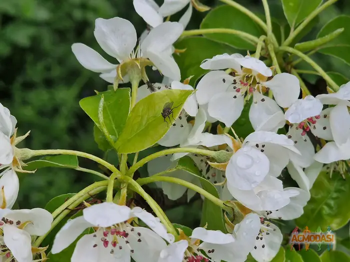 Ігор Іванович Яремченко фото №1753520. Завантажено 27 Лютого 2026