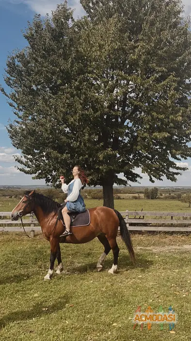 Христина  Лесів фото №1753544. Завантажено 28 Лютого 2026