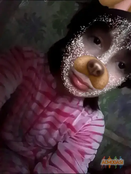 Анна Петрівна Василевська фото №1753693. Завантажено 03 Березня 2026