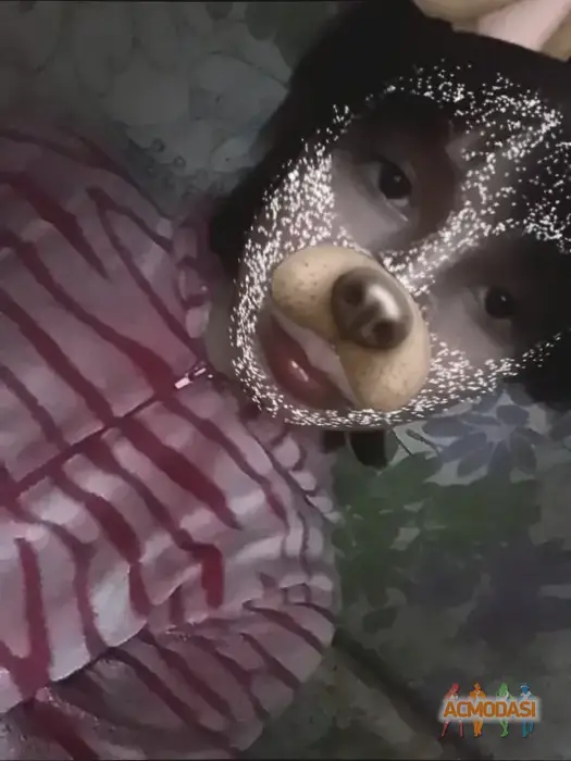 Анна Петрівна Василевська фото №1753694. Завантажено 03 Березня 2026